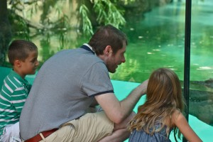 IMG_8972